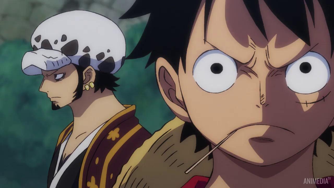 One piece шачибури. Ван Пис 900 серия. Шачибури Ван Пис 1. Шачибури анимедия. Ван Пис озвучка шачибури.